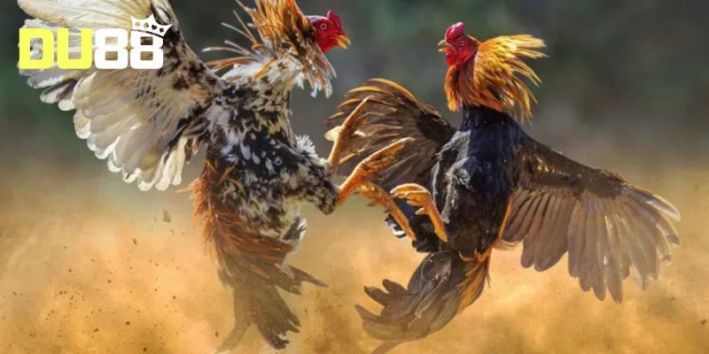 Giao diện giúp người chơi dễ đặt kèo