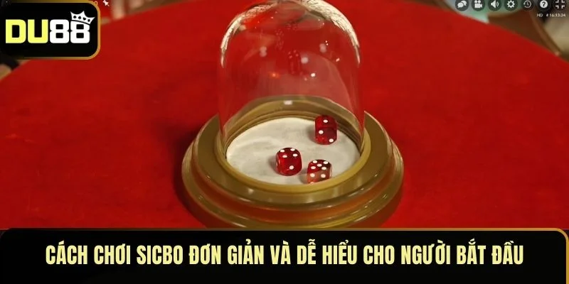 Cách chơi Sicbo đơn giản và dễ hiểu cho người bắt đầu