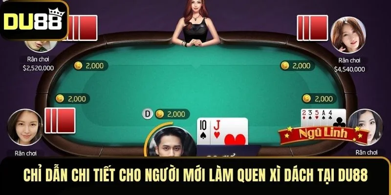Chỉ dẫn chi tiết cho người mới làm quen Xì Dách tại DU88